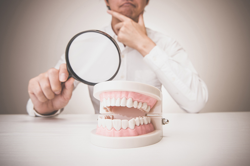 歯の模型をチェックしている男性